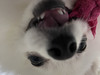 ひろ^_^