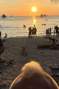 ウオッチ ルートイングランティア石垣 クーポン