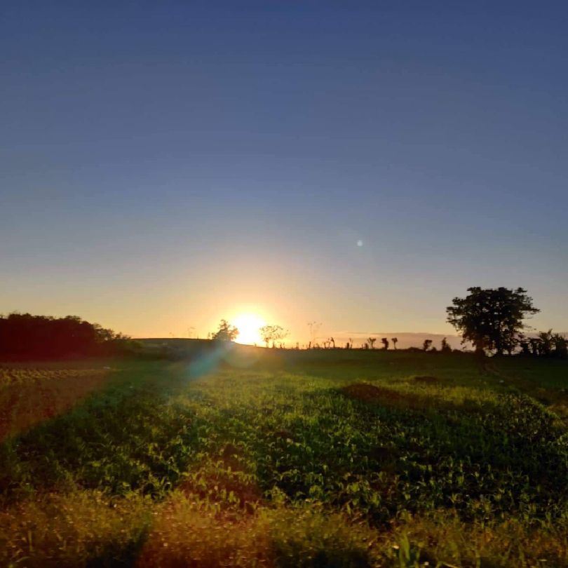 user-avatar