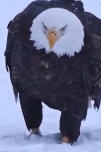 J$S 曼谷梵尼克斯素坤逸11酒店優惠