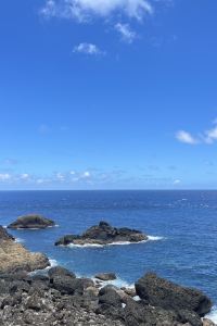筱涵涵 禾順行旅優惠