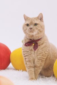 Kitkit14 Dawoo House 2 in Hongdae優惠