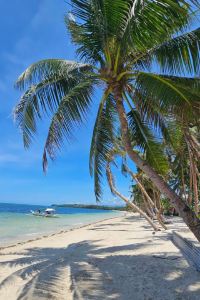 _gallivant_with_us 愛妮島S度假村優惠