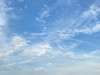 ひまわり0725