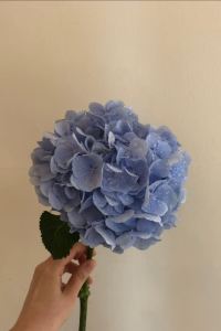 스칼렛전 호텔 JCS 여수 쿠폰