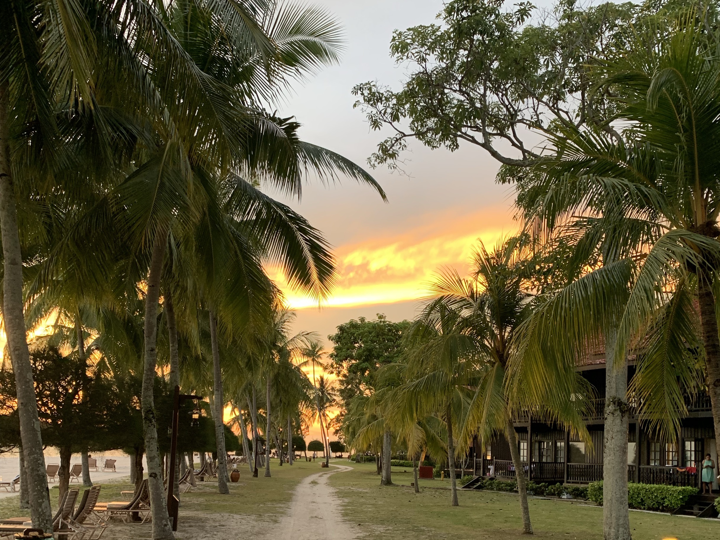 Batu Ferringhi 2022 Top Things to Do Batu Ferringhi Travel Guides