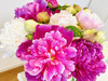 Romi_0163