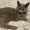 Abby 06