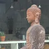 Avatar 1