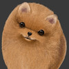 joy3d