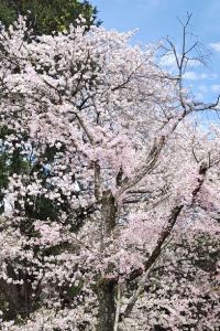 ぶーた Route Inn飯店-Grand東京東陽町優惠