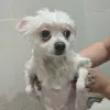 Avatar 1