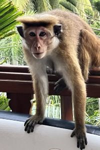 訪客 馬尼拉崇光輕軌紀念館站酒店優惠