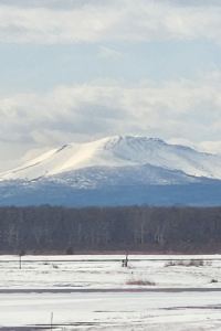유니용 원주시티호텔 쿠폰