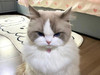 calledbyjh
