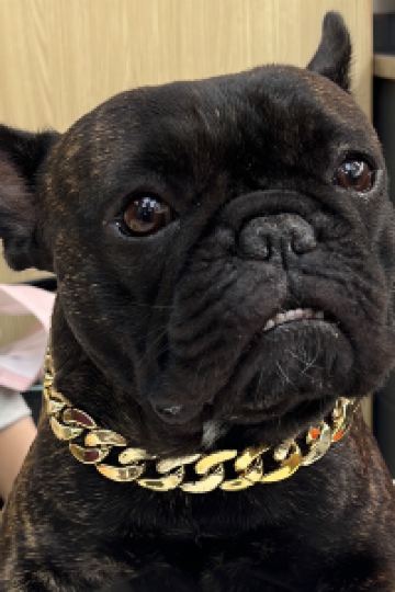 Dormi_jy サンメンバーズひるがの クーポン