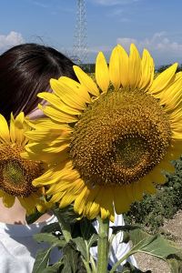 mph19 仁川愛特爾飯店優惠