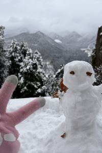 Jay905 禾尖S酒店（深圳高新園店）優惠