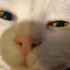 Avatar 3