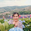 วันหนึ่งฉันไปเที่ยวป่า