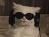 PJ007