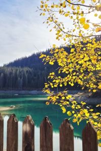 喜瑪拉雅星 ウィスタリアンライフクラブ熱海 クーポン