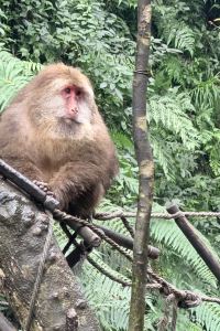徐瑋均 蓉住民宿（成都東站店）優惠