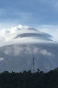 albay