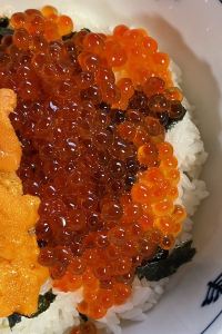 kassy.fuu 女性のための宿　翠蝶館 クーポン