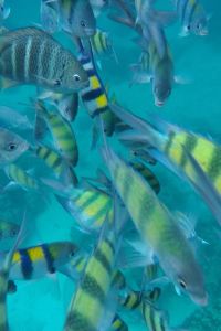 DnynD 三朝ロイヤルホテル クーポン