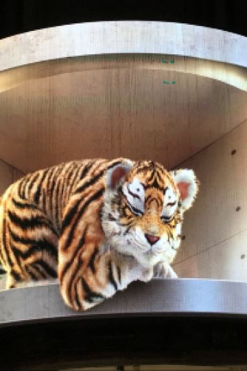 Rokumaro たびのホテル 佐渡 クーポン