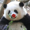 沈纯绫
