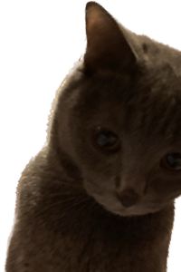 愛旅的人 那霸歌町大和ROYNET飯店優惠