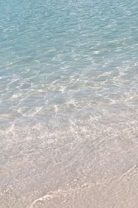 trip***km 名古屋笠寺ホテル クーポン