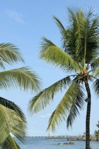 리뷰어 라마다 제주 함덕 쿠폰