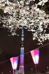 肥比小精靈 台北花園大酒店優惠