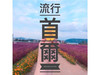 流行首爾