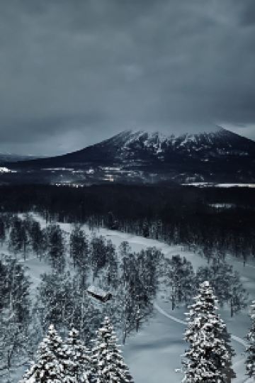 Claire Xiao 新悦花園酒店優惠