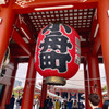 ムクボス