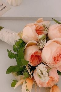 뚱도리우스 부산 그레이샌즈풀빌라 쿠폰