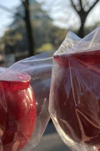 ひろちゃん024 アクセス・バイ・ロワジールホテル名古屋 クーポン