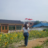 히즈
