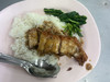 hongshi