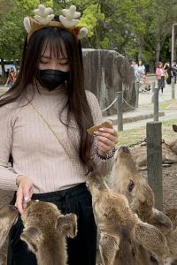 Liyiyi 南投清境峰情民宿優惠