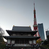 ゴリまる