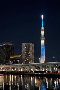 YY**NG 加泰羅尼亞格蘭維亞馬德里酒店優惠