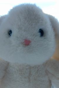 LEE819 香港比比旺角賓館（家庭旅館）優惠