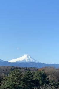 もんぐむ 東横INN東京秋川駅北口 クーポン