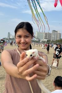 Atittaya asakit 河內鑽石之王飯店優惠