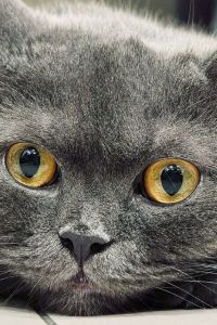 Alona_lee 台南安平雅樂軒酒店優惠